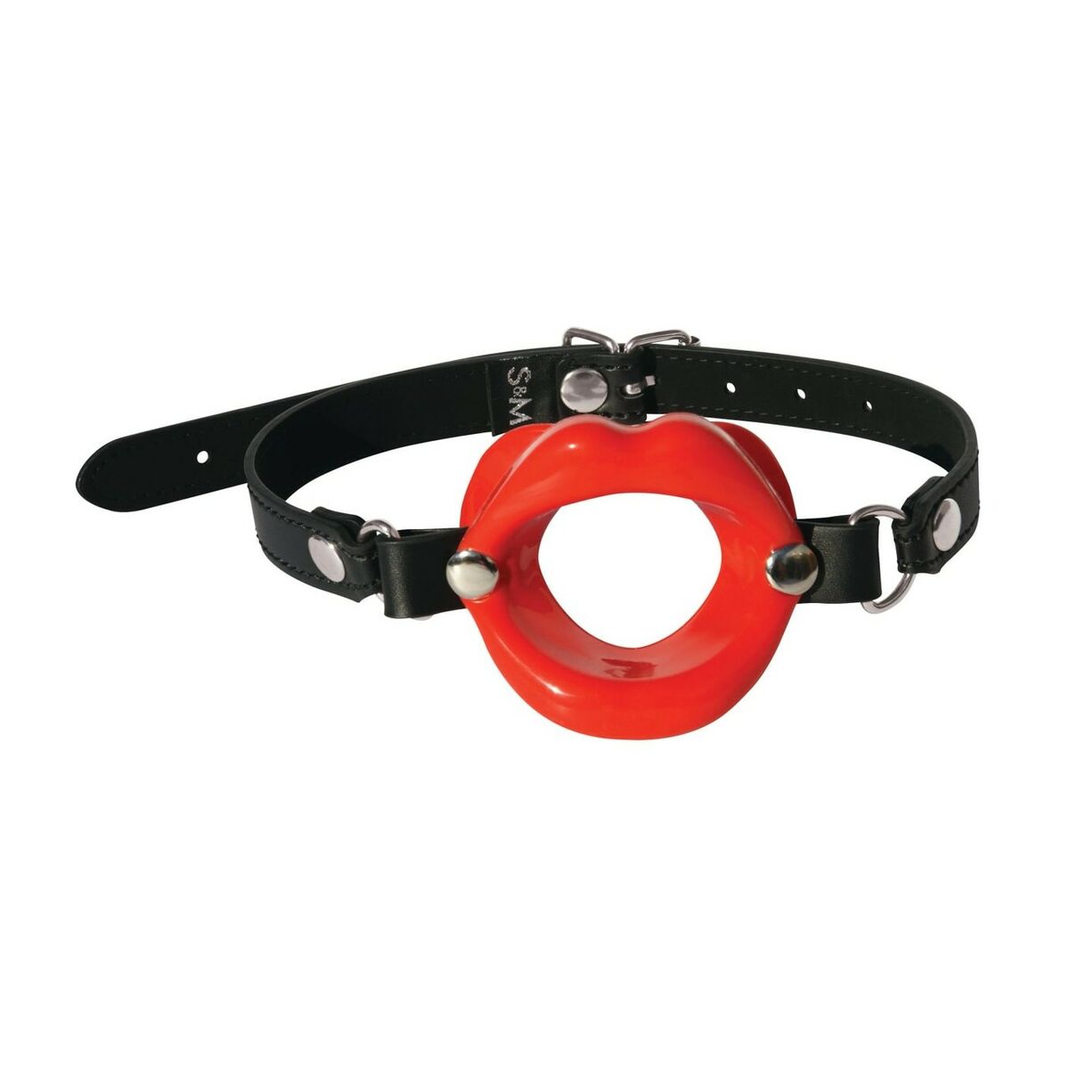 Mouth Gag Sex & Mischief