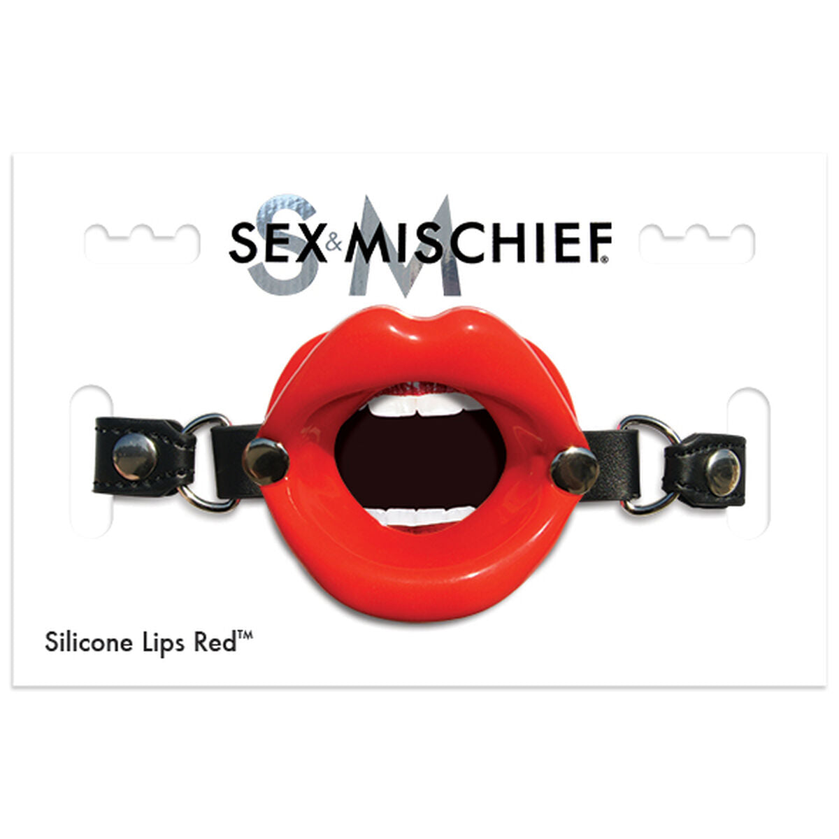 Mouth Gag Sex & Mischief