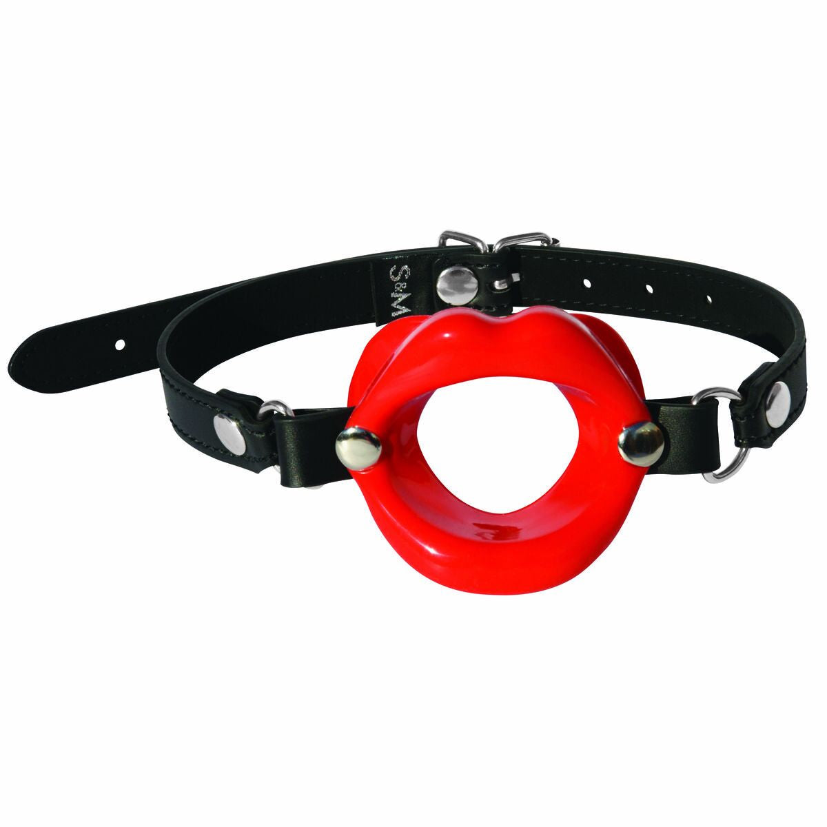 Mouth Gag Sex & Mischief