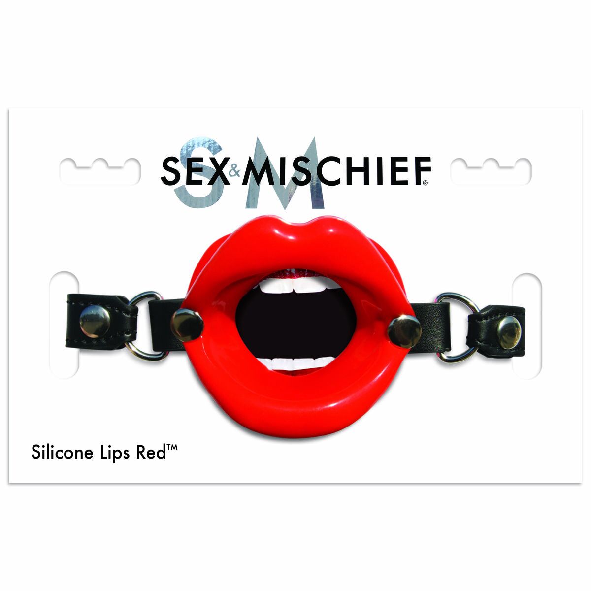 Mouth Gag Sex & Mischief