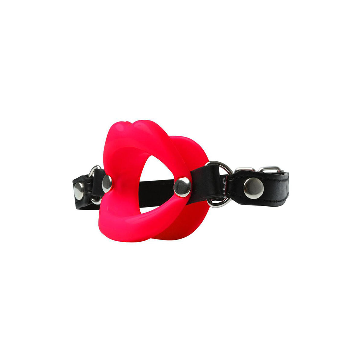 Mouth Gag Sex & Mischief