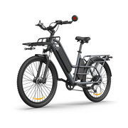 ADO Oasis 260T Dual-Battery Cargo E-Bike-0