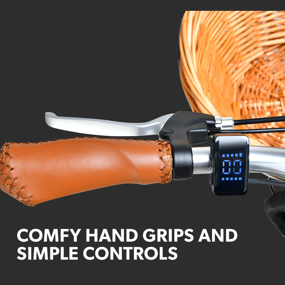 NNEMB 2023 Laneway 5 Vintage Electric Bike-Torque Sensor equipped eBike-Medium-Mint Green-4