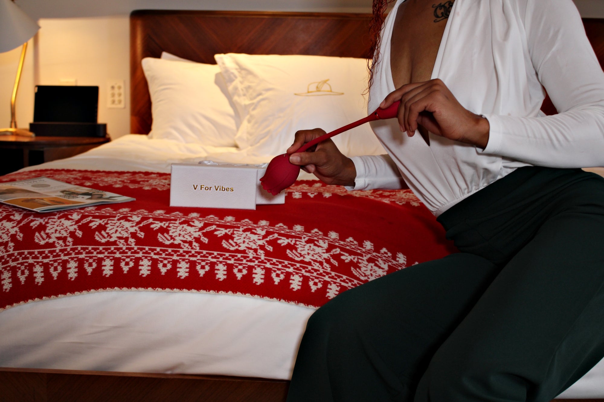 Couples' Night Sex toy Party - V For Vibes