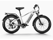 Himiway Zebra D5 2025 E-Bike - Fatbike
