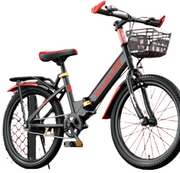 Teens' Aluminum Folding Bike with Variable Speed-0
