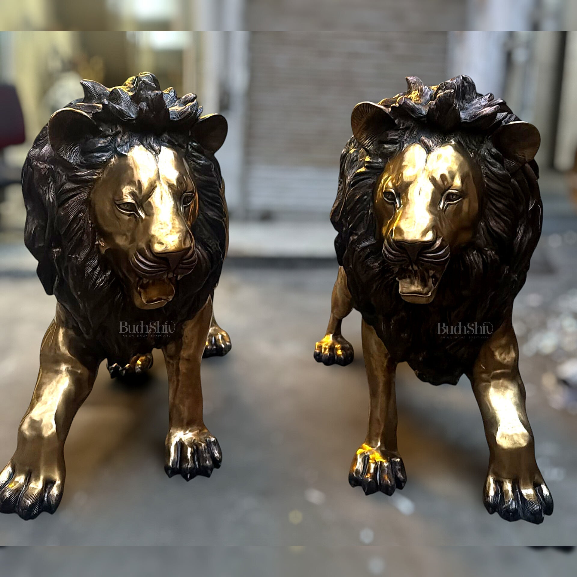 Brass Large Lion Sculpture - 48 Inch, Pair, 400 kg-0
